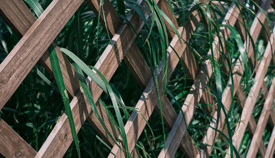 Fence Installation Sunnyvale