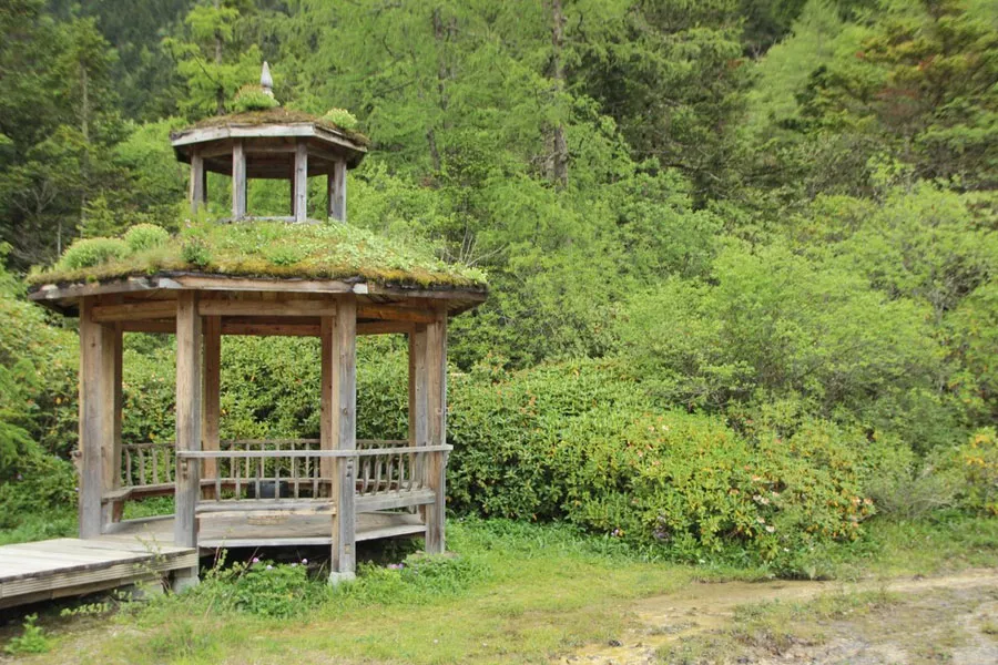 gazebo contractors near me​