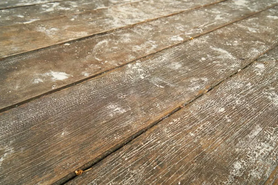 Hidden Wood Damage Causes