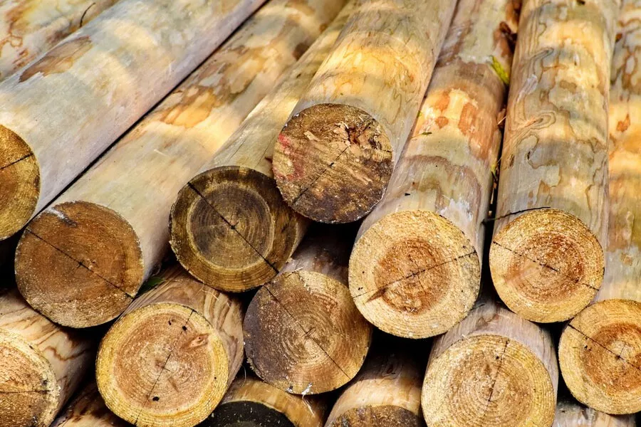 Tropical Hardwoods