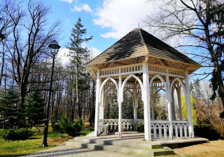 Pergola installation services